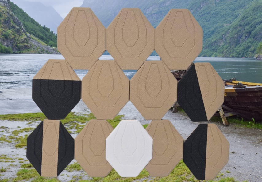 dry fire targets